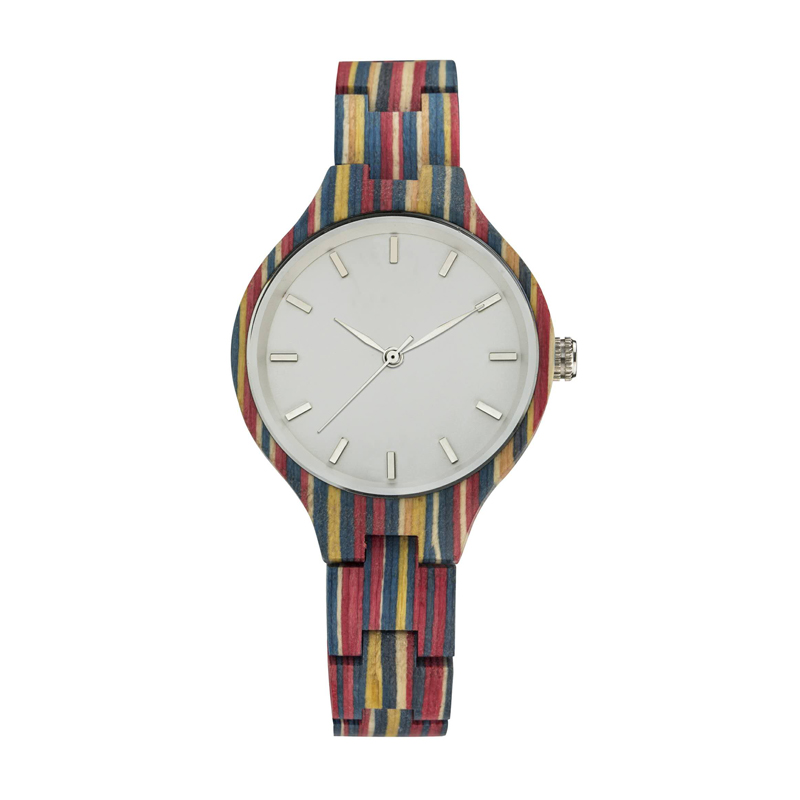 DS-W1011 